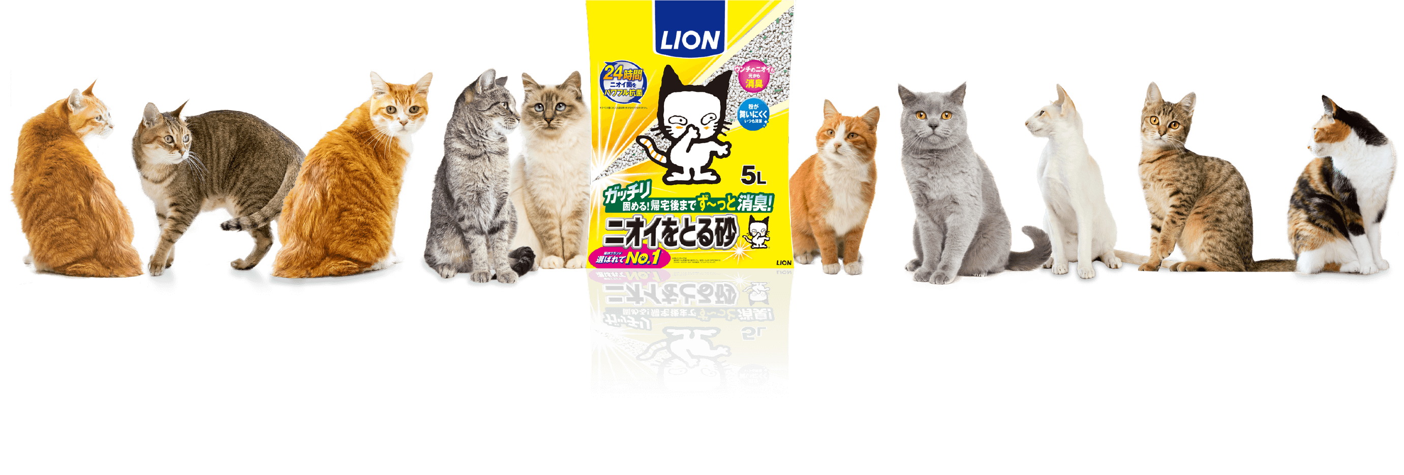 lion ニオイをとる砂