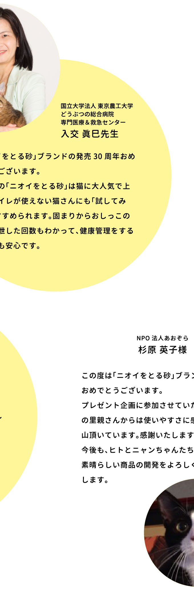 お祝いのメッセージをいただきました！