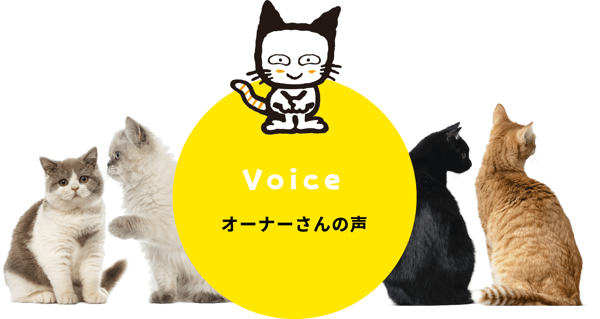 Voice オーナーさんの声