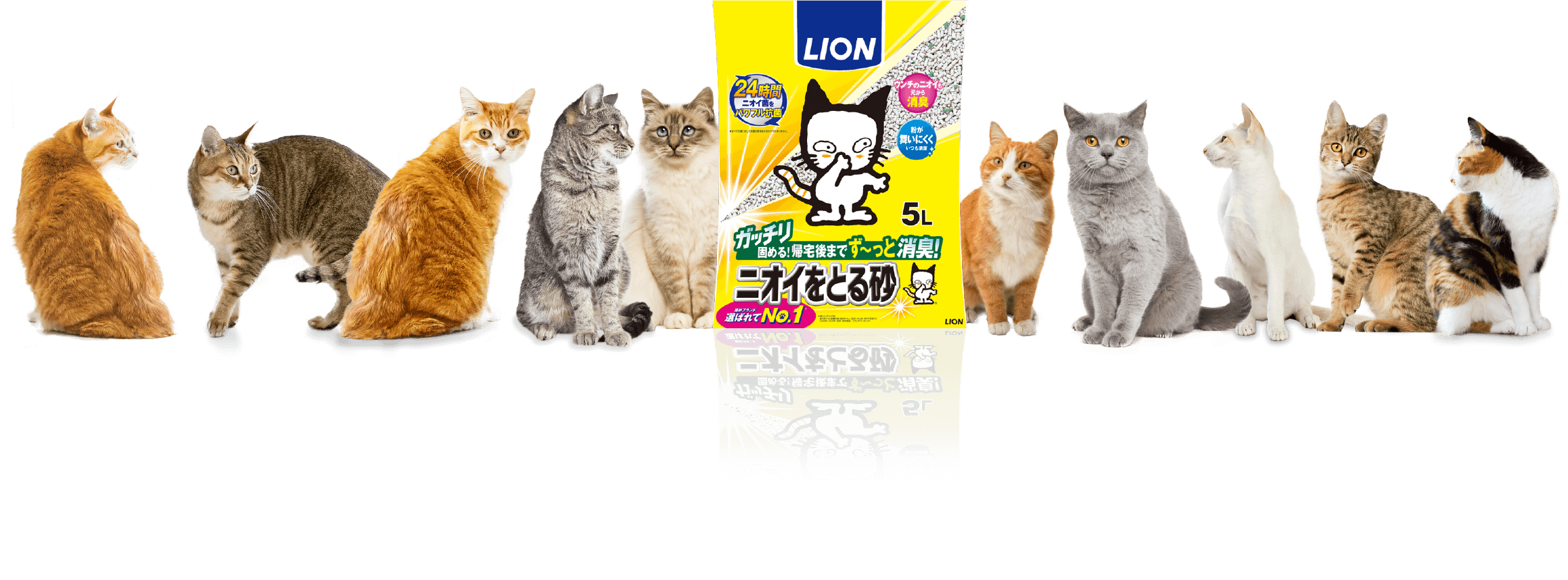 lion ニオイをとる砂