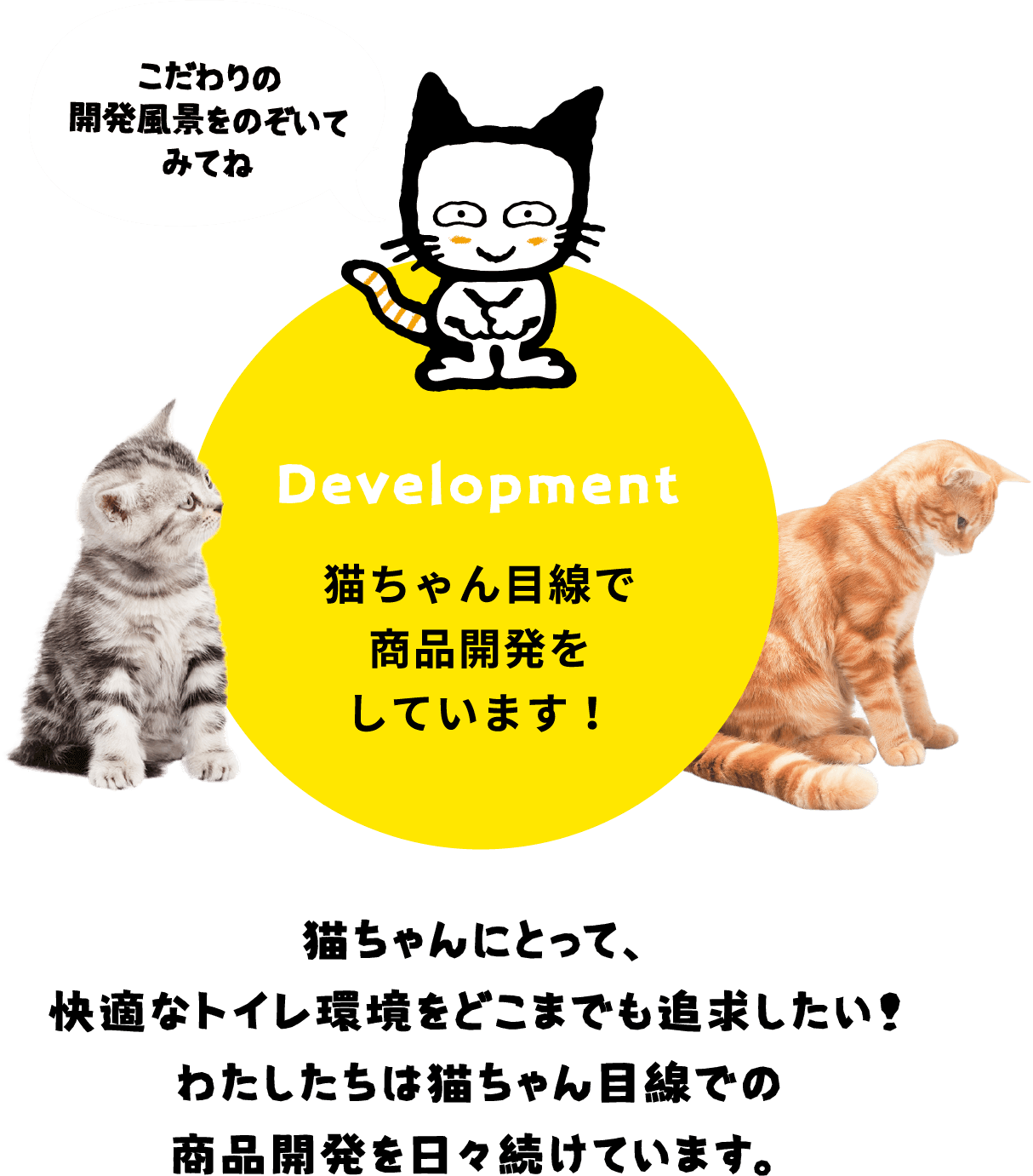 こだわりの開発風景をのぞいてみてね Development 猫ちゃん目線で商品開発をしています！