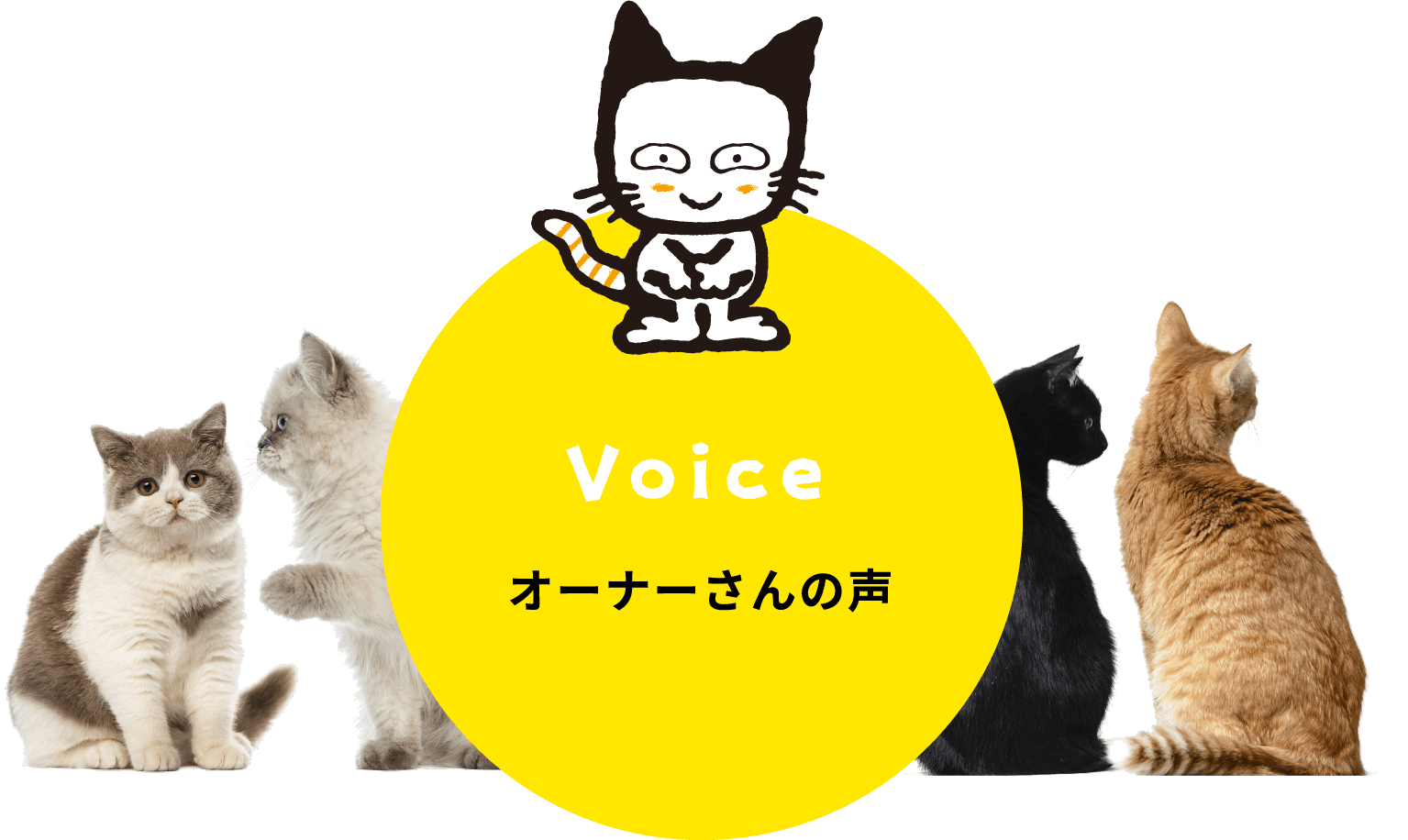 Voice オーナーさんの声