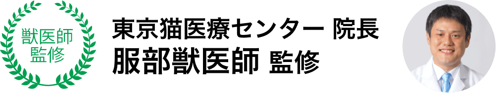 東京猫医療センター院長 服部獣医師監修