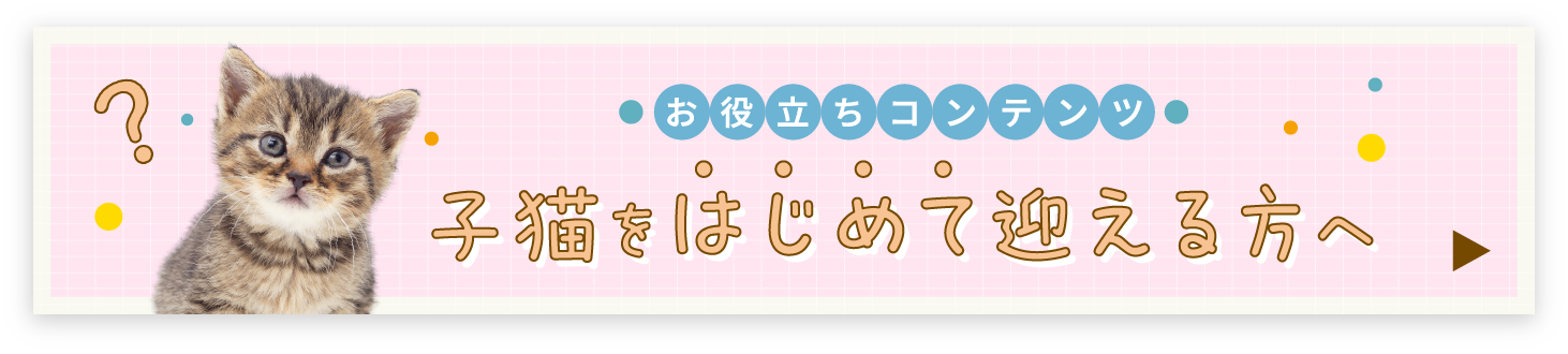 お役立ちコンテンツ 子猫をはじめて迎える方へ