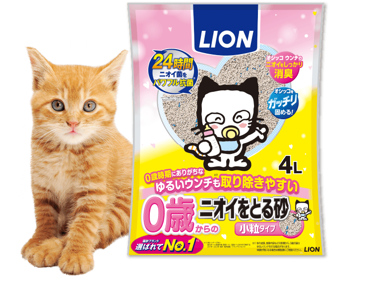 新発売