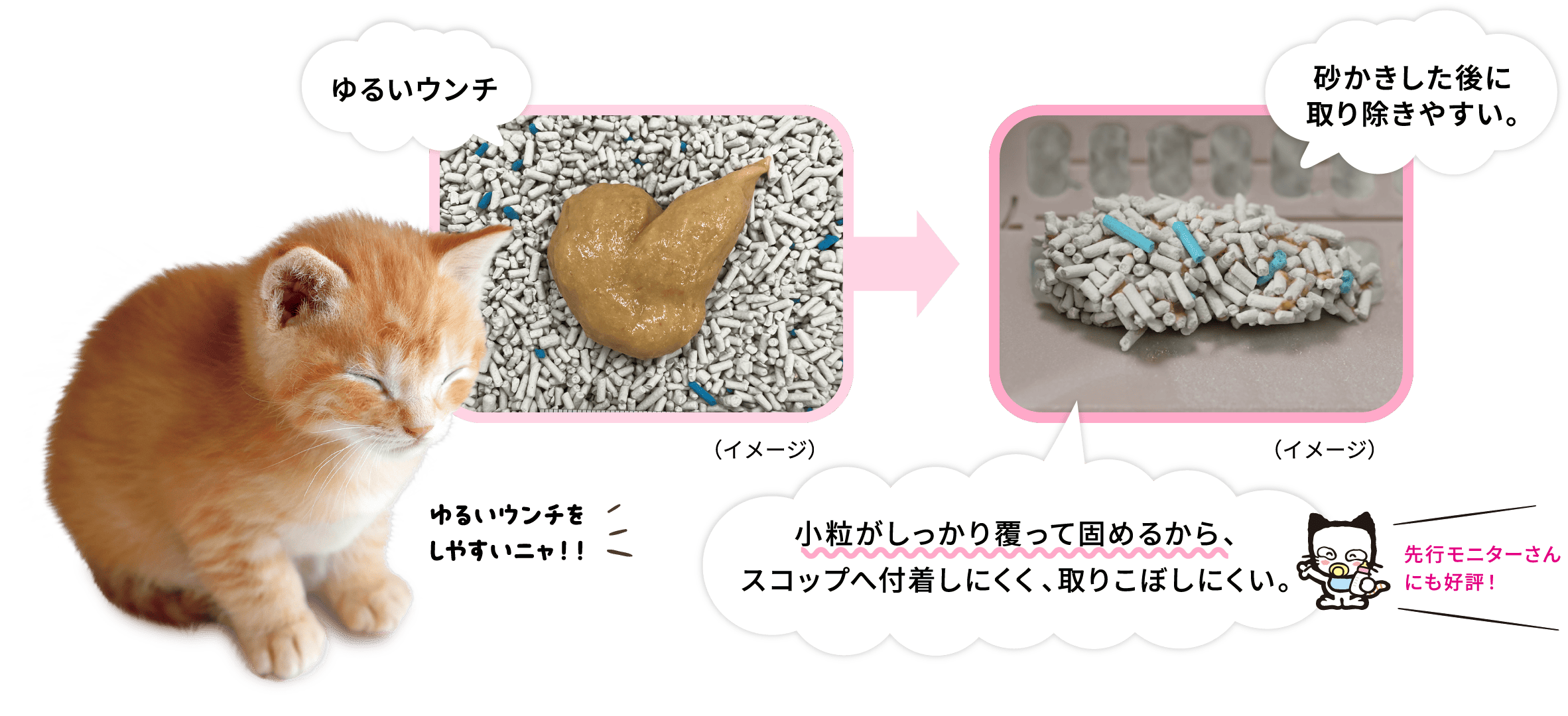 ゆるいウンチゆるいウンチをしやすいニャ！！（イメージ）砂かきした後に取り除きやすい。（イメージ）小粒がしっかり覆って固めるから、スコップへ付着しにくく、取りこぼしにくい。先行モニターさんにも好評！
