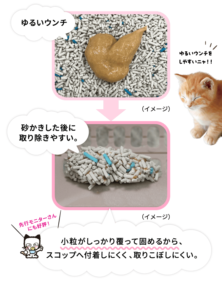 ゆるいウンチゆるいウンチをしやすいニャ！！（イメージ）砂かきした後に取り除きやすい。（イメージ）小粒がしっかり覆って固めるから、スコップへ付着しにくく、取りこぼしにくい。先行モニターさんにも好評！