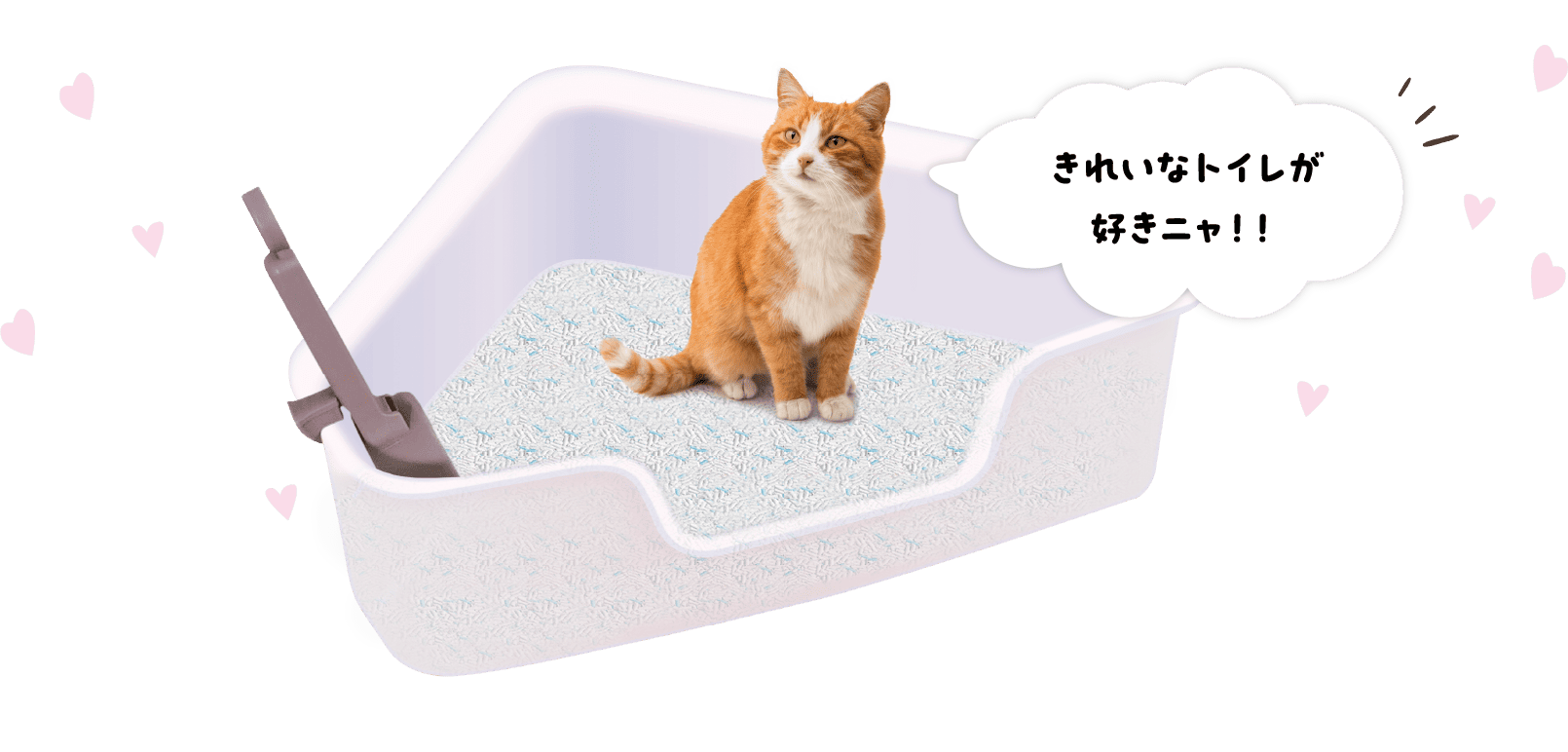 きれいなトイレが好きニャ！！