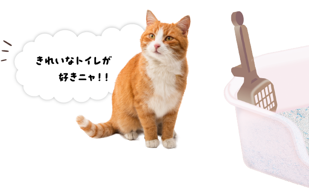 きれいなトイレが好きニャ！！