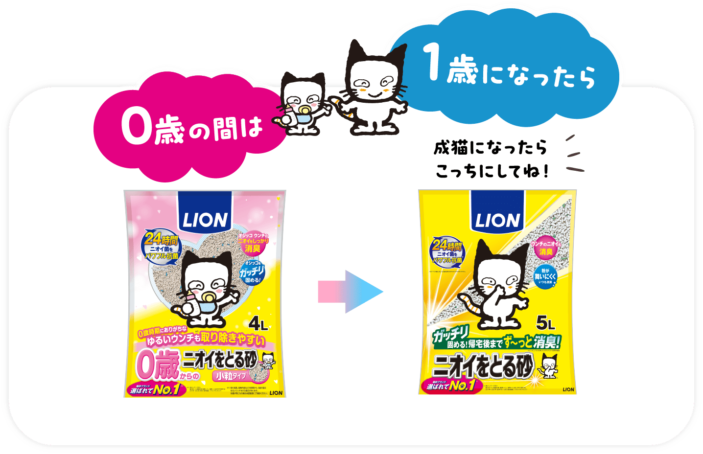 0歳の間は1歳になったら成猫になったらこっちにしてね！