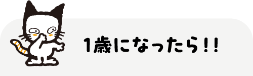 1歳になったら!!