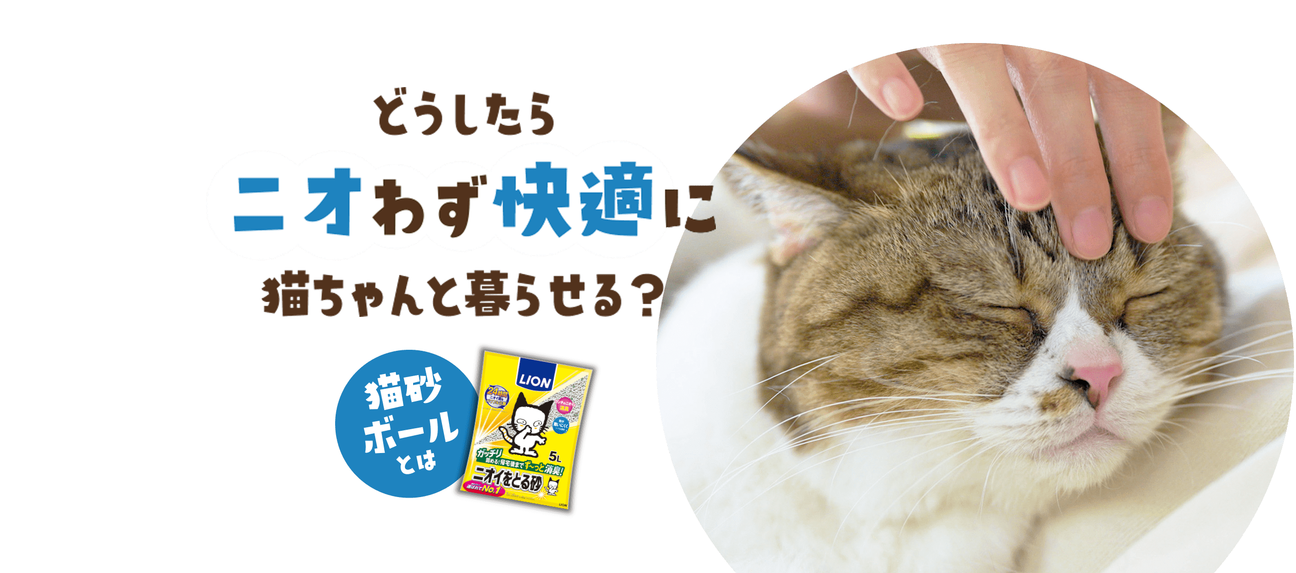 どうしたらニオわず快適に猫ちゃんと暮らせる？猫砂ボールとは