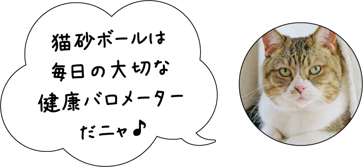 猫砂ボールは毎日の大切な健康バロメーターだニャ♪