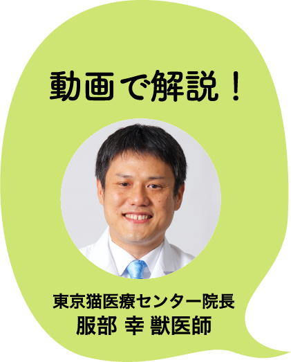 動画で解説！東京猫医療センター院長