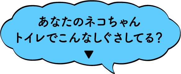 あなたの猫ちゃんトイレでこんなしぐさしてる？▼