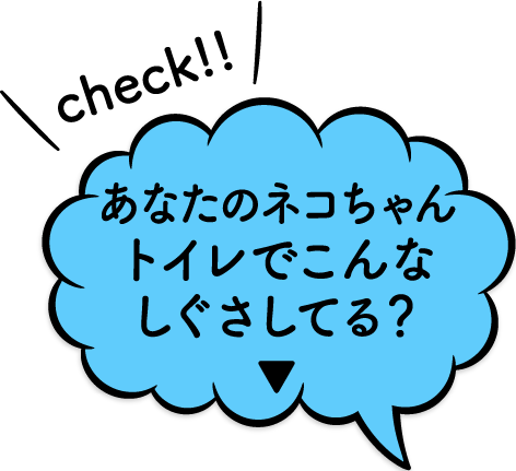 あなたの猫ちゃんトイレでこんな仕草してる？▼