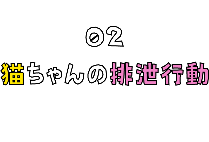 猫ちゃんの排泄行動 02