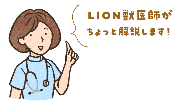 ちょっと解説します！LION獣医師が