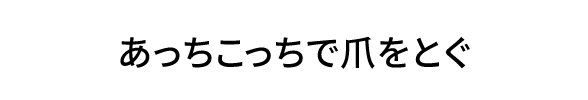 あっちこっちで爪をとぐ