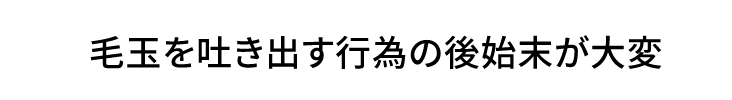 毛玉を吐き出す行為の後始末が大変