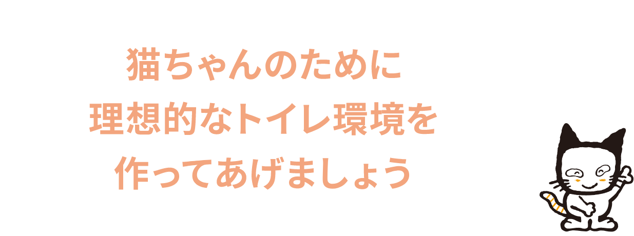 猫ちゃんのために理想的なトイレ環境を作ってあげましょう