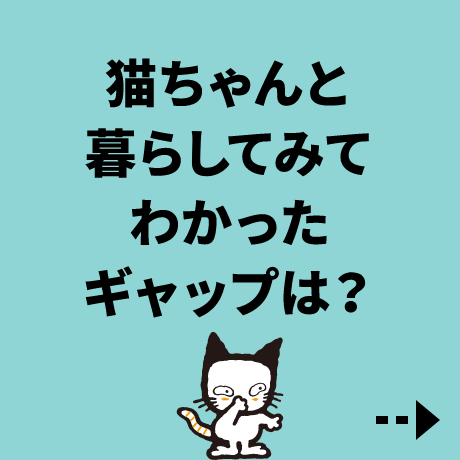 猫ちゃんと暮らしてみてわかったギャップは？