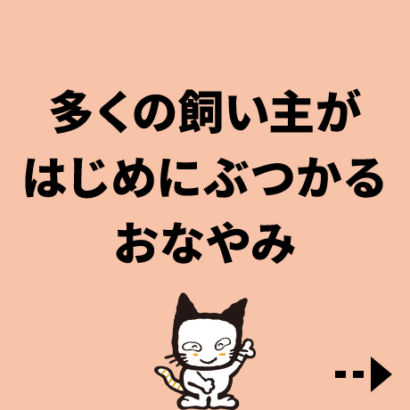 多くの飼い主がはじめにぶつかるおなやみ