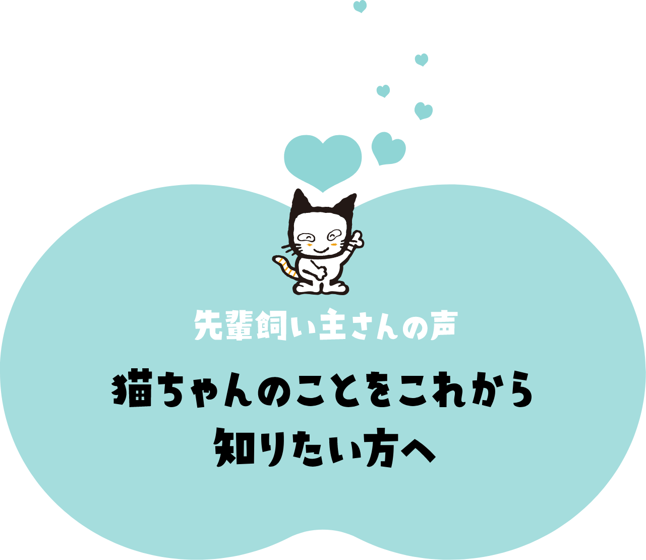 先輩飼い主さんの声 猫ちゃんのことをこれから知りたい方へ