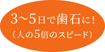 3～5日で歯石に！（人の5倍のスピード）