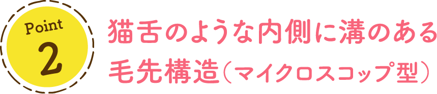 Point2 猫舌のような内側に溝のある 毛先構造（マイクロスコップ型）