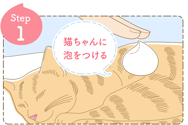 Step1 猫ちゃんに泡をつける