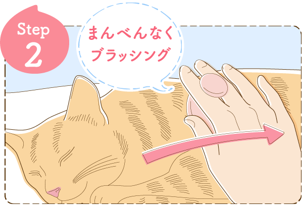 Step2 まんべんなくブラッシング