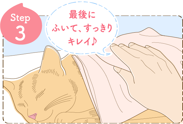 Step3 最後にふいて、すっきりキレイ♪