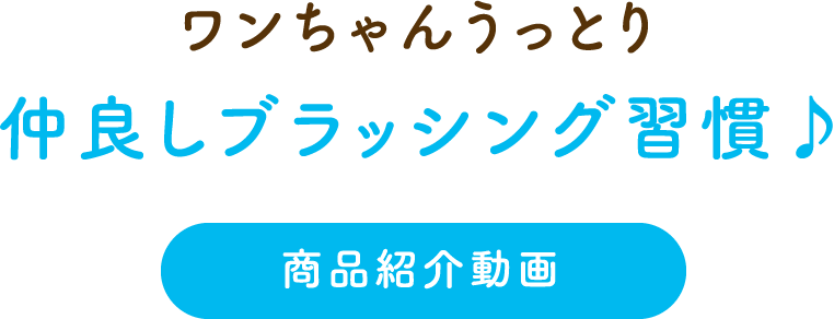 ワンちゃんうっとり仲良しブラッシング習慣♪商品紹介動画