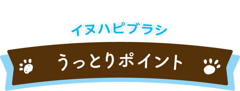 イヌハピブラシ うっとりポイント