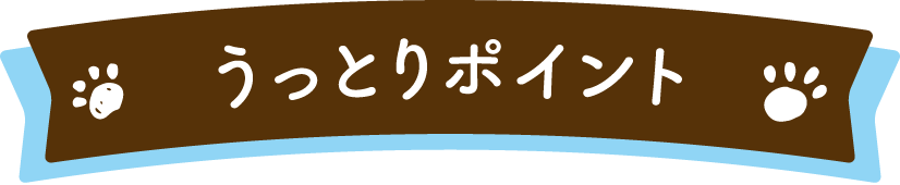 うっとりポイント