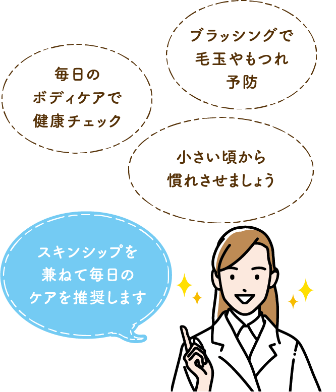 毎日のボディケアで健康チェックブラッシングで毛玉やもつれ予防小さい頃から慣れさせましょうスキンシップを兼ねて毎日のケアを推奨します