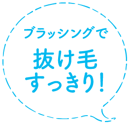 ブラッシングで抜け毛すっきり！