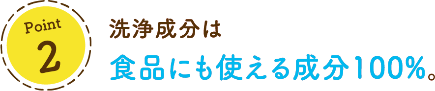 Point 2洗浄成分は食品にも使える成分100%。