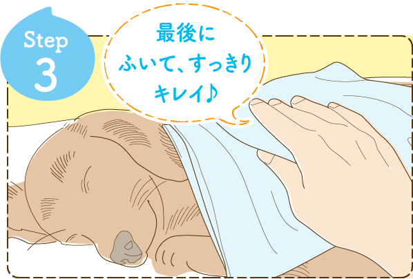 Step3 最後にふいて、すっきりキレイ♪