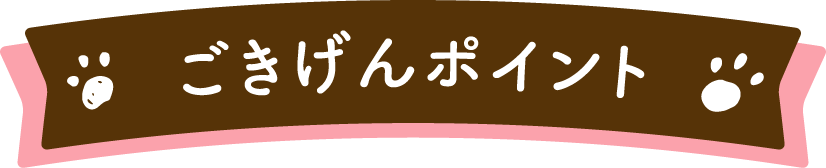 ごきげんポイント