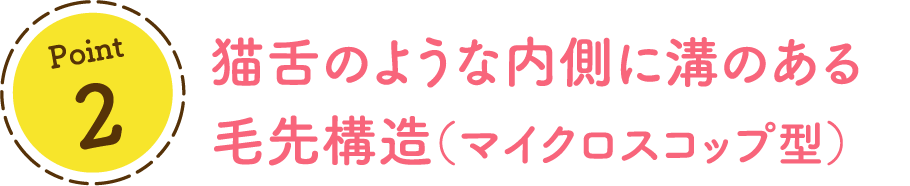 Point2 猫舌のような内側に溝のある 毛先構造(マイクロスコップ型)