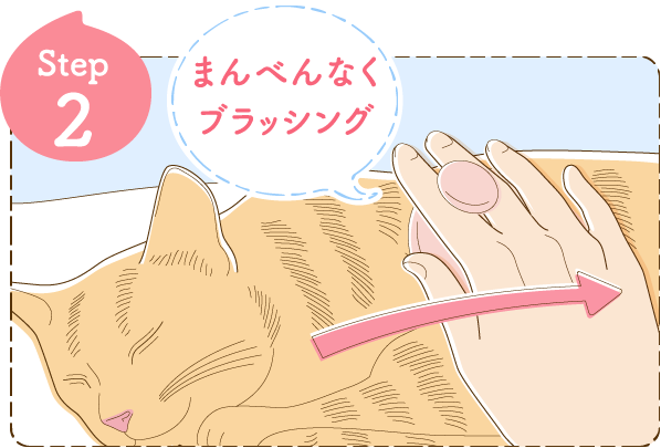 Step2 まんべんなくブラッシング