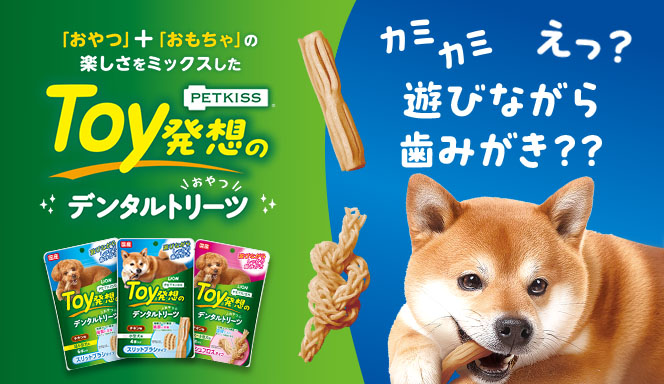犬　食器　リード　光る首輪　シャンプー　歯ブラシ　など　いろいろ 楽天市場】【8/4 20:00からP5倍】犬 首輪 チョーカー チョーク