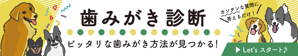 ピッタリな歯みがき方法が見つかる！「歯みがき診断」Let'sスタート♪