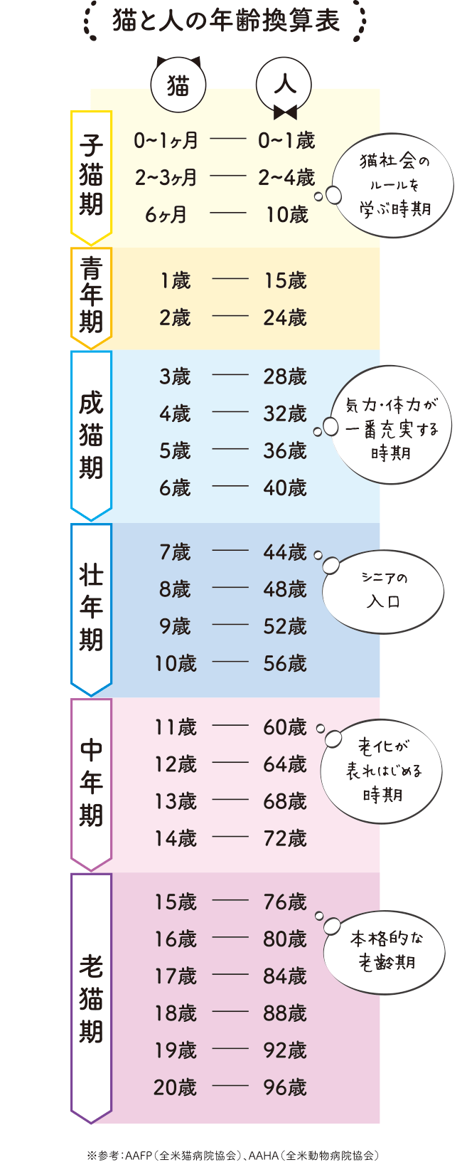 図：猫と人の年齢換算表