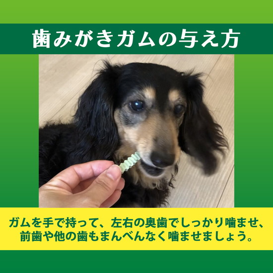 PETKISS 食後の歯みがきガム シニア 超小型犬用｜ライオンペット株式会社