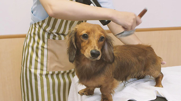 写真：かわかしている様子