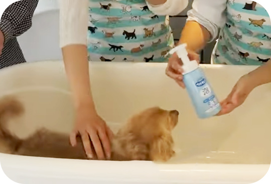 写真：水を含んだガーゼタオルを使う2