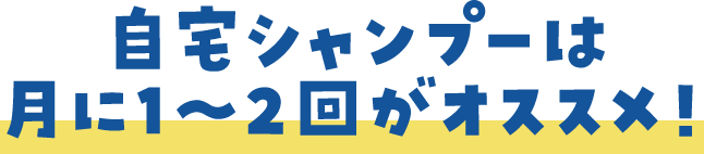自宅シャンプーは月に1〜2回がオススメ！